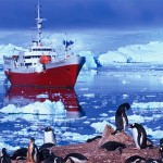 Destino - Cruceros